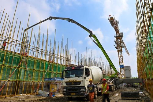 市糧油倉儲物流園建設如火如荼 譜寫糧食安全新篇章